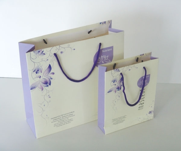 paper bag 7